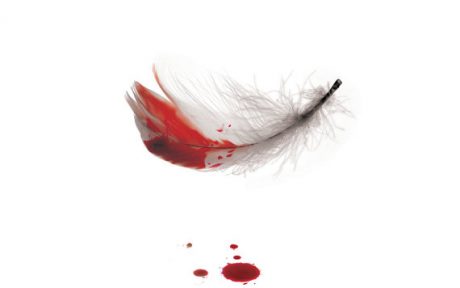 Дизайнер и ангельское терпение