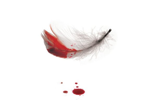 Дизайнер и ангельское терпение